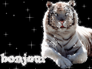 bienvenue sur mon blog